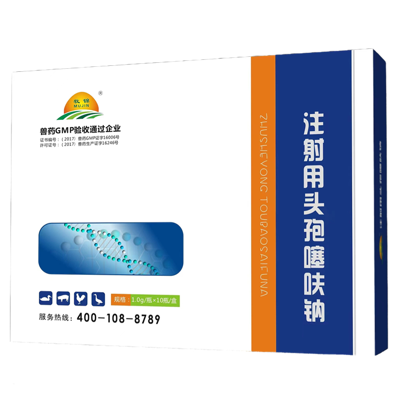 自定義模�?5)(4).jpg 自定義模�?5)(4).jpg